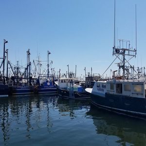 Meet your Posher, Neil